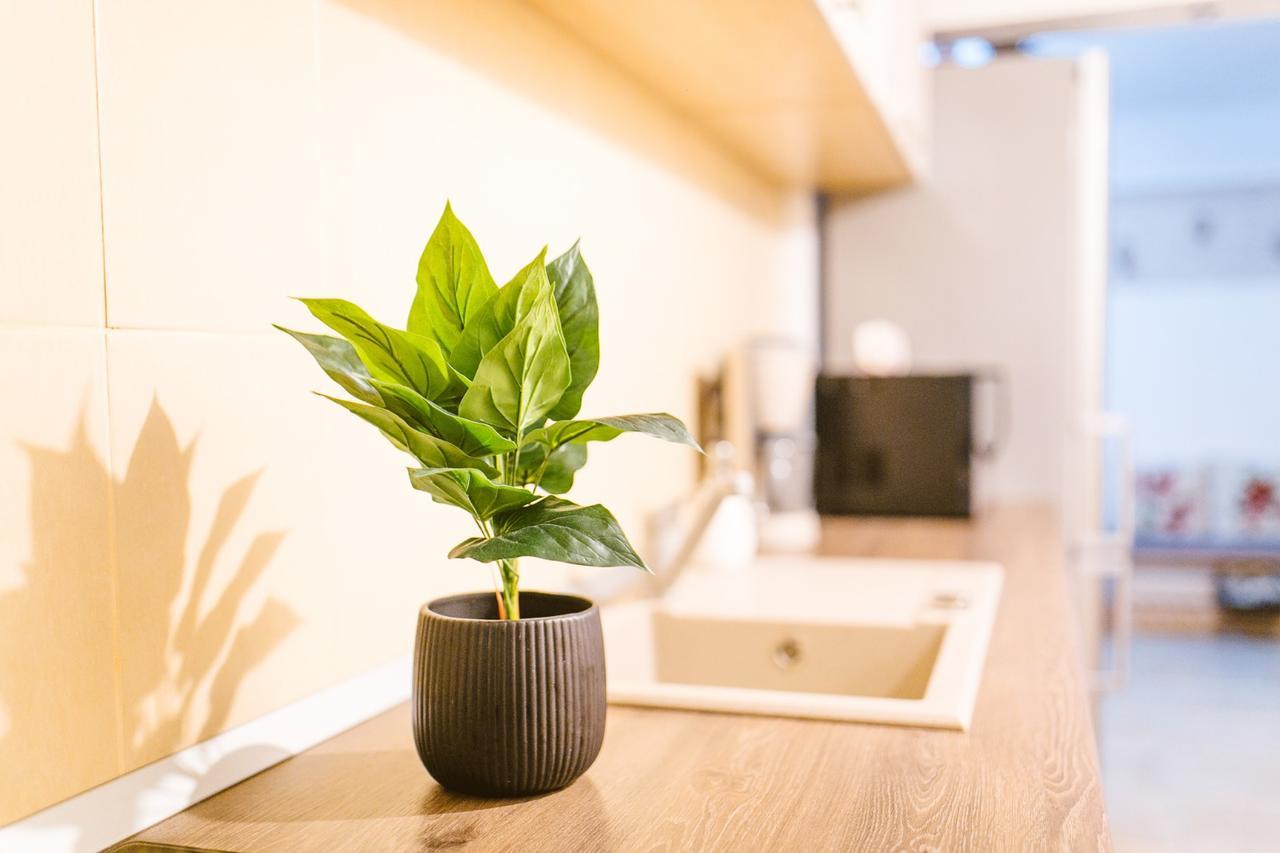 Apartament Maria ألبا يوليا المظهر الخارجي الصورة